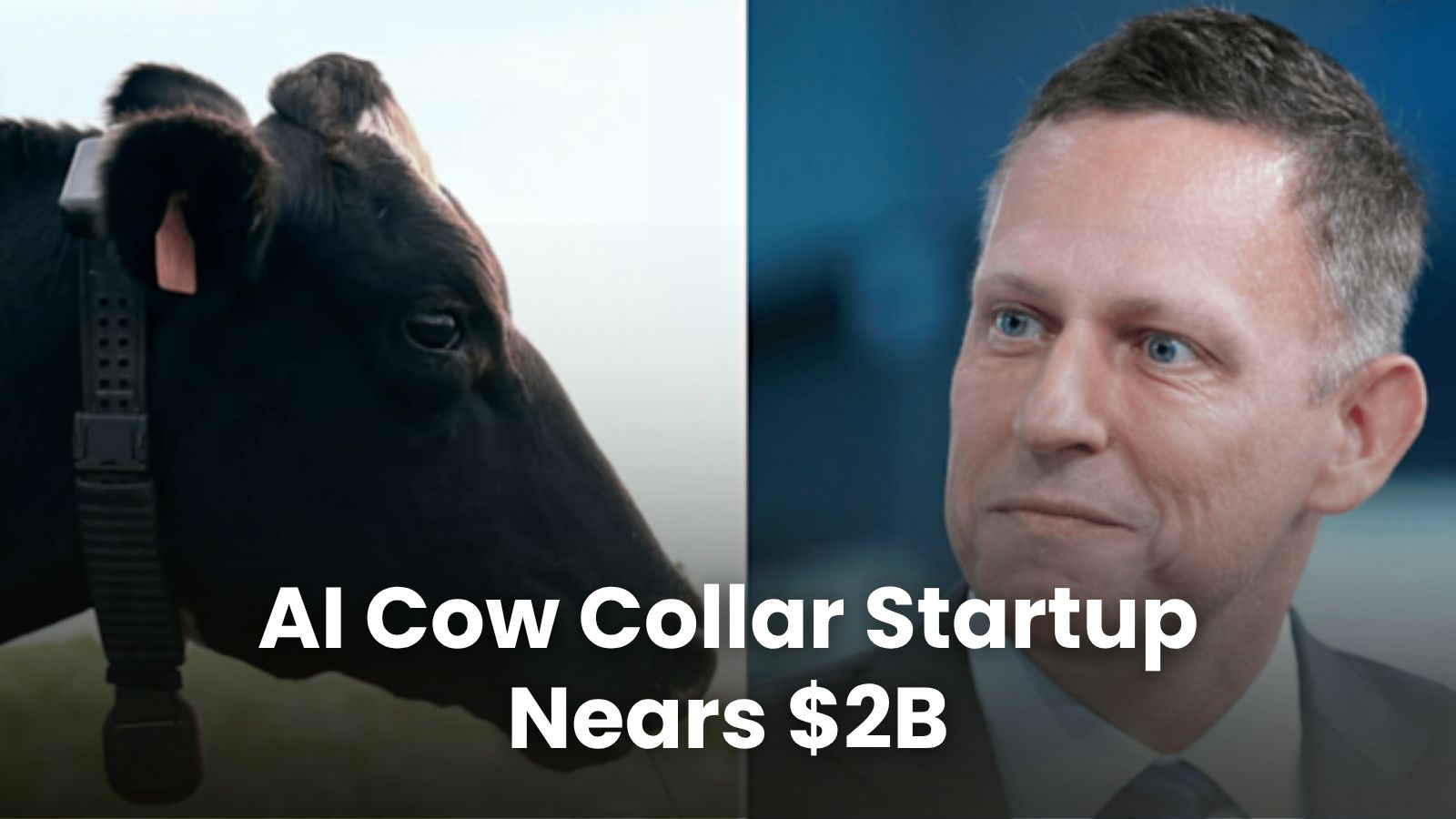 🐄 The $2B AI That Herds Cows
